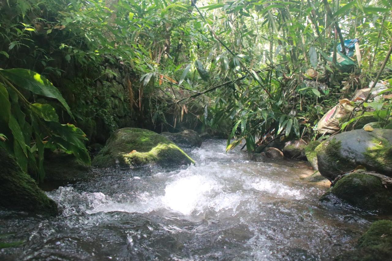 Nature Routes Cottage Munnar Exteriör bild