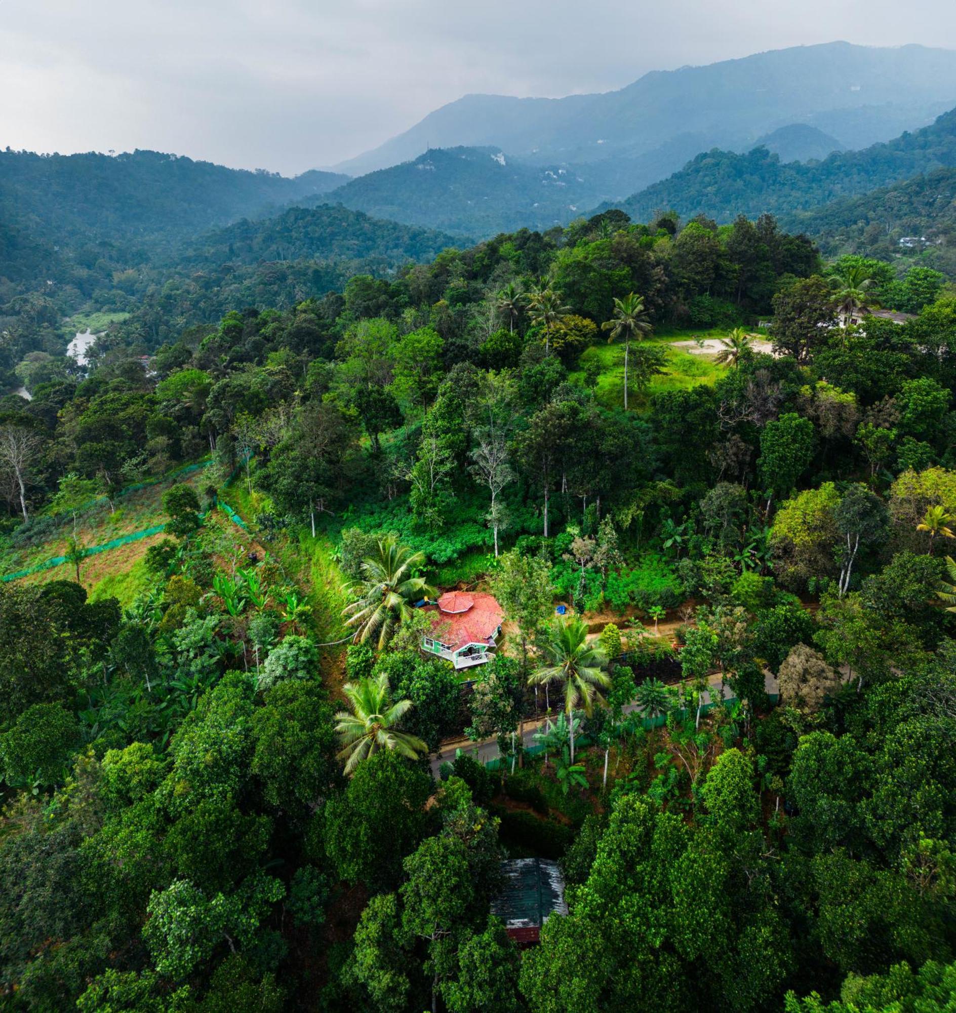 Nature Routes Cottage Munnar Exteriör bild